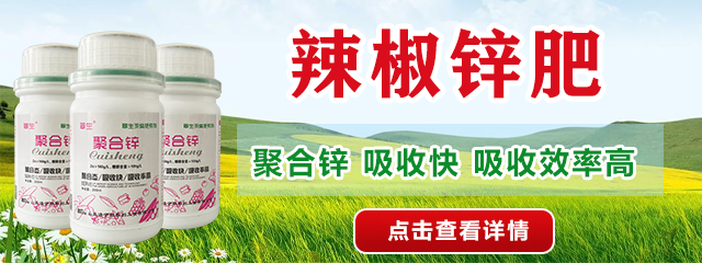 聚合鋅