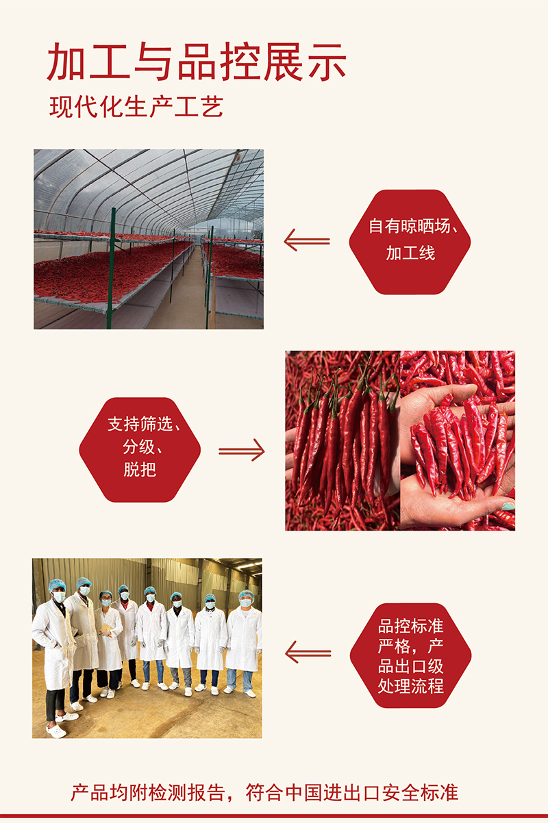第4頁